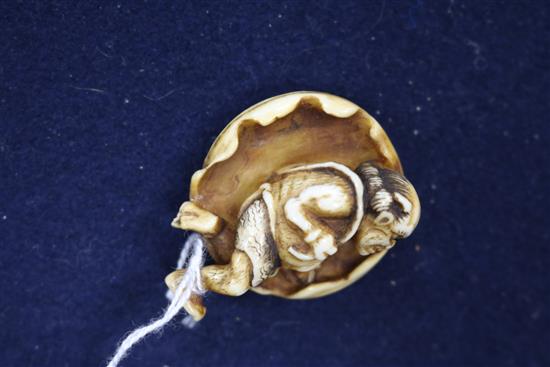 Two Japanese ivory netsuke, 19th century, 4cm